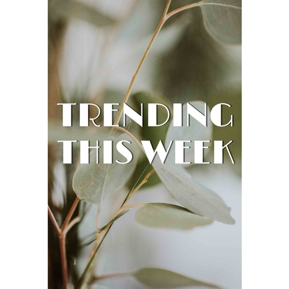 Just in. - Picture 12 of 16